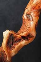 textura de madeira de close-up de tronco de bonsai natural