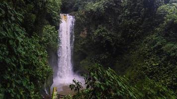 cachoeira floresta de chuva foto