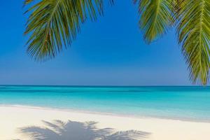 palmeiras de fundo de praia de verão contra panorama de bandeira de céu azul, destino de viagem tropical. areia branca, paisagem exótica do mar azul, fundo de verão incrível foto