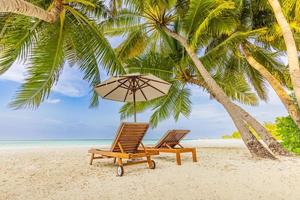 incrível praia romântica. cadeiras na praia de areia perto do mar. conceito de férias de férias de verão para turismo. paisagem de ilha tropical. cenário tranquilo da costa, relaxe o horizonte à beira-mar, folhas de palmeira