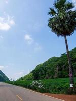 longa estrada que viaja por várias aldeias na tailândia rural passando por prados florestais e montanhas em dia claro céu azul nuvem branca no verão condução adequada foto