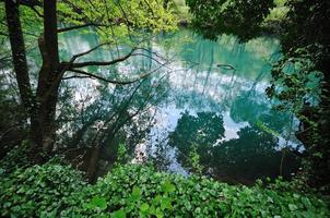 rio cachoeira selvagem foto