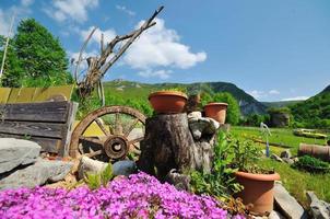 jardim com linda decoração de flores foto