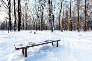 banco coberto de neve no parque urbano no inverno foto