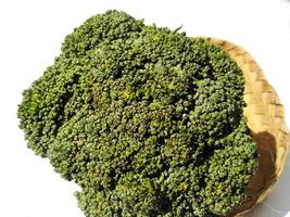 brócolis isolado em um fundo branco, brócolis é uma cultivar da mesma espécie que repolho e couve-flor, ou seja, brassica oleracea. foto