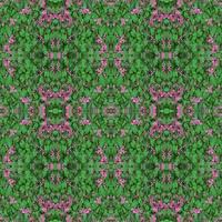 padrão de folhas verdes, fundo de folha de planta de outono, flor de poligonácea rosa, padrão sem emenda foto