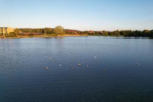 bonitos pássaros aquáticos nadando, imagens do lago willen e do parque localizado em milton keynes, inglaterra. as pessoas estão desfrutando no lago em um dia quente e ensolarado de verão. videoclipe capturado em 21-8-2022 foto