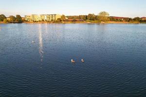 bonitos pássaros aquáticos nadando, imagens do lago willen e do parque localizado em milton keynes, inglaterra. as pessoas estão desfrutando no lago em um dia quente e ensolarado de verão. videoclipe capturado em 21-8-2022 foto