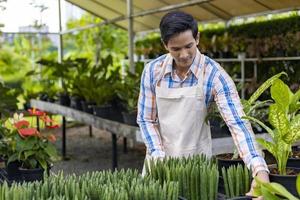 jardineiro asiático está trabalhando dentro da mesa de propagação no centro de jardim do viveiro para purificar o ar conceito de cultivador de plantas nativas e exóticas foto