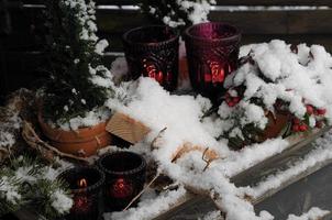 tempo de inverno em um jardim alemão foto