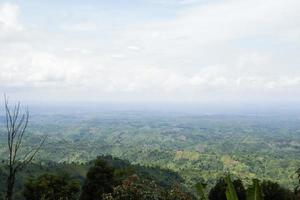 bela vista da colina com céu nublado e galho de árvore morta. horizonte de montanha com árvores verdes e pequenas colinas. foto de floresta montanhosa com vista aérea. bela fotografia da natureza com um céu nublado.