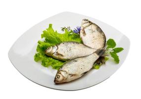 peixe crucian no prato e fundo branco foto