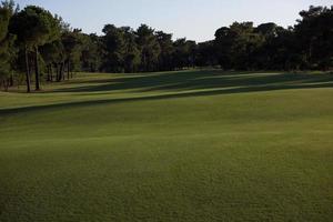 campo de golfe em dia ensolarado foto