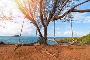 balanço de madeira pendurado no galho de árvore com céu azul e fundo de oceano de mar de praia tropical - balanço de verão de praia para relaxar o conceito foto