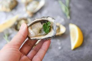 frutos do mar de ostras frescas na mão em um fundo de placa preta - feche a concha de ostra foto