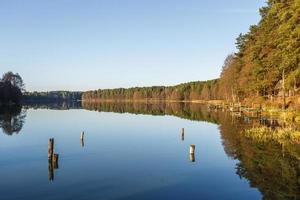 panorama da magnífica paisagem do lago largo na floresta de pinheiros foto