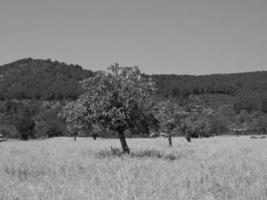 ilha de ibiza na espanha foto