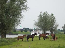 a cidade de Dosburg na Holanda foto