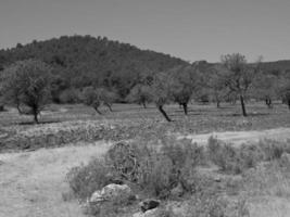 ilha de ibiza na espanha foto