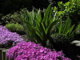 horário de verão em um jardim alemão foto