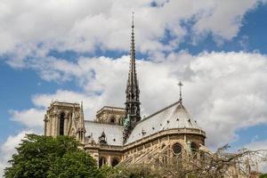 Catedral de Notre Dame foto