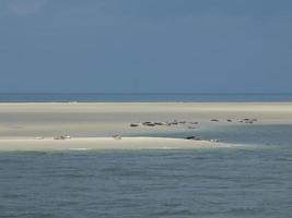 a ilha de borkum no mar do norte foto