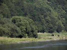 o rio weser na alemanha foto