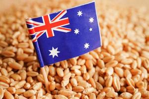 austrália em trigo em grão, exportação comercial e conceito de economia. foto