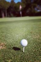 bola de golfe no tee foto