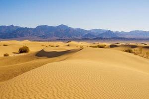 dunas de areia do deserto foto