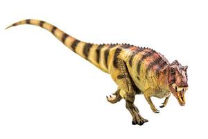 dinossauro ceratosaurus em branco isolar o traçado de recorte de fundo foto