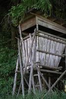 uma rústica barraca de caçador feita de galhos de madeira fica no meio da floresta. o abrigo bem camuflado está escondido sob as árvores e na grama. foto