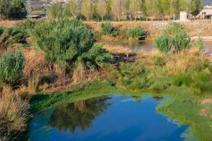 zonas húmidas nas proximidades do rio llobregat foto