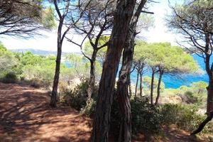 costa acidentada, costa mediterrânea na costa brava catalã, sant feliu de guixols foto