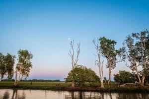 assobiando pipa ao amanhecer foto