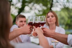 amigos brindando com copo de vinho tinto enquanto faz piquenique ao ar livre foto