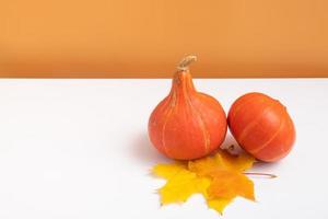 composição de outono. abóboras na queda muple folhas em fundo laranja branco. outono outono e conceito de dia de ação de graças. natureza morta minimalista foto