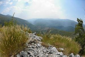 vista da paisagem de verão foto