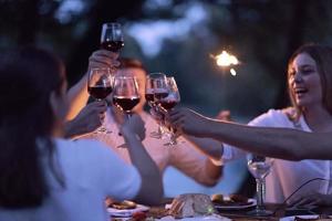 amigos brindando com copo de vinho tinto enquanto faz piquenique ao ar livre foto