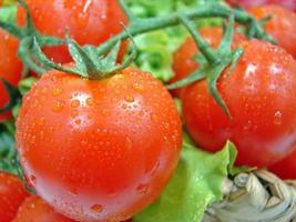 tomates vermelhos frescos foto