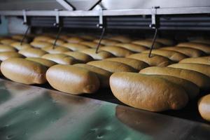 produção da fábrica de pão foto