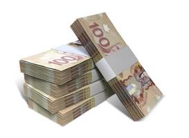 notas de dólar canadense pacotes pilha foto