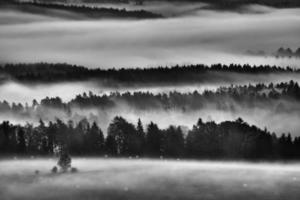 paisagem matinal com neblina