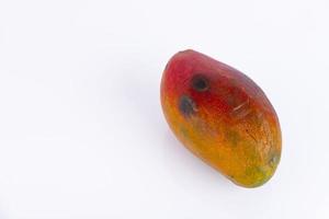 fruto de manga vermelha, produto cultivado puro naturalmente sustentável, eco, de tailandês. copie o espaço. foto
