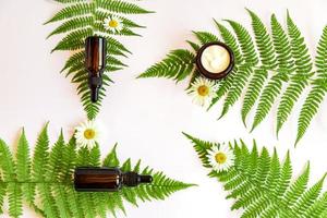 cosméticos orgânicos naturais com ervas e óleo essencial de camomila com folhas de samambaia em fundo branco. rotina de cuidados com a pele para uma pele saudável foto