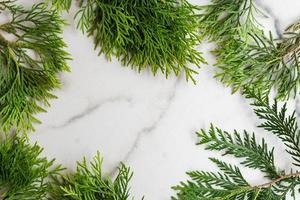 moldura feita de galhos de thuja de cedro branco sobre fundo de mármore branco, postura plana. cartão de maquete com espaço de cópia. foto