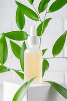 frasco cosmético de vidro fosco com um conta-gotas em um fundo branco em um pódio e folhas tropicais. conceito de cosméticos naturais, óleo essencial natural e produtos para cuidados com a pele foto