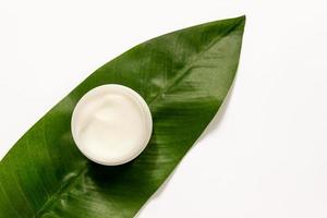 pote branco de creme para o rosto em um fundo de folha verde tropical. fundo branco, vista superior, configuração plana. conceito de cosméticos naturais. foto