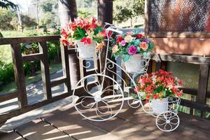 flores de ranúnculo em um vaso de bicicleta foto