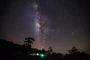 silhueta de árvore e bela via láctea em um céu noturno. fotografia de longa exposição. foto